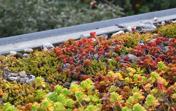 the cost of Folly green roof installation
