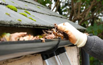 gutter cleaning Folly