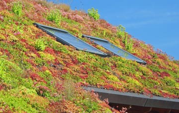 Folly living roof systems