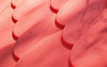 Folly plastic roof costs