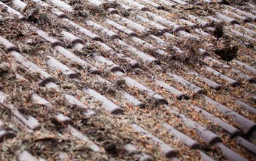 Folly roof cleaning companies