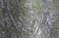 Folly fibreglass roof work